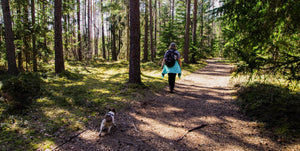 Zero-Waste Adventures: How to Pack a Sustainable Backpacking Kit