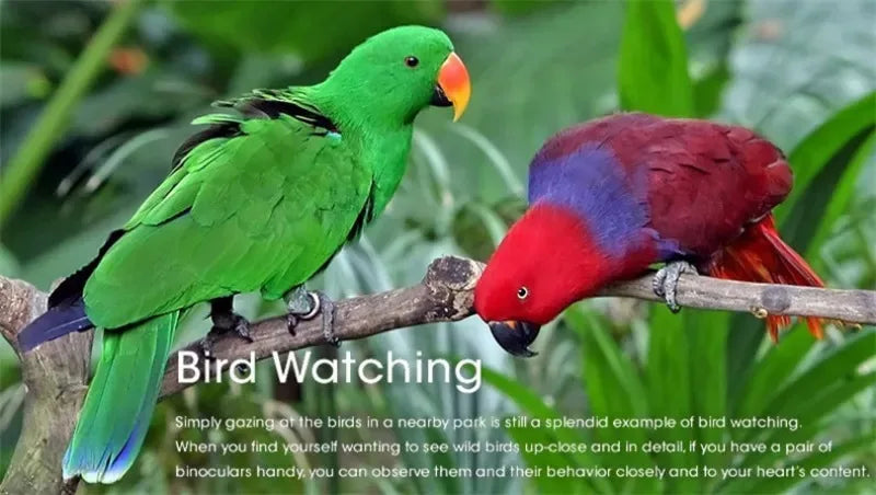 80x80 HD Professional Binoculars for Outdoor Use